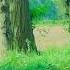 China Travel Nature Music Song Instrumental Love Art Trending Nature Calmly Romanticmus