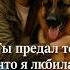 Ты предал то что я любила больше себя