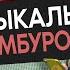 МУЗЫКАЛЬНАЯ КАЛАМБУРОШНАЯ Stradivaly
