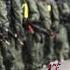 天豪公開課 台灣的軍隊到底能打不能打
