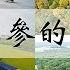 威斯康辛沃沙市 花旗参的故乡