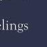 Hollow Knight Zote Zotelings Voice
