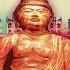 Buddha Bar Zeava Ben What Will Be
