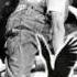 Charlie Chaplin Mpg