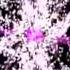 Mister Hamtlag Ezemdsen Harts YouTube