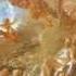 El Triunfo De Afrodita Invocazione Dell Imeneo