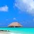 Paradise Found Maldives Beach And Crystal Turquoise Waters Ocean 4K Ultra HD