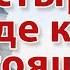 Монастырский чай Как отличить качественный чай от подделки Секрет полезных свойств чая
