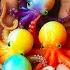 Catch Baby Octopus In Small Pond Baby Turtle Eel Platinum Guppies Neon Fish Goldfish Mouse Fish