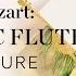 MOZART The Magic Flute K 620 Ouverture
