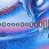 Frankyeffe Ready Or Not Original Mix