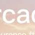 Duncan Laurence Arcade Ft Fletcher Lyrics