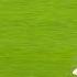 Lamine Yamal 100 WOW Skills