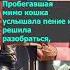 Как выбраться из опасной ситуаций Притча о птичке