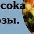 Кальвадос из яблок сока декстрозы и воды