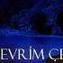 DEVRİM ÇELİK AVAŞÎN Official Music Video