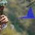 Thomas Arya Feat Yelse Dinding Kaca Official Musik Video Lirik