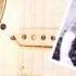 Rory Gallagher Out On The Western Plain Wmv
