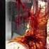 Anime BlooD