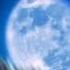 Alpha And Omega Moonlight Howl