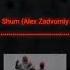 Go A Shum Alex Zadvorniy Remix на какой следующий трек делать видео напишите в комментариях