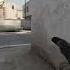 CSGO USP HEADSHOTS