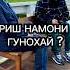Риш намони гунохай