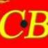 Броневой щит ГСВГ