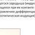 О регенерации костной ткани и генетике в гистологии