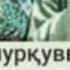 МОДАР Кунам ёдад модар