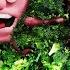 Koo Koo Salad Music Video