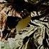 Children Of Bodom Was It Worth It Instrumental