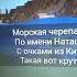 Морская черепашка по имени Наташка