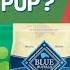 IAMS Vs Blue Buffalo Vs Purina Pro Plan Which Dog Food Is Right For Your Pup My Dog Supplements