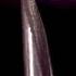 Hammering A Needle Close Up Original Sounds Created By OddioStudio Follow This Foley Artist