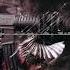 Zookeepers Heuse Mercury Trap No Copyright Music