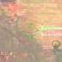 Call Of Duty World At War FUNNY GUY