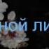 Со мной ли Он