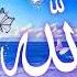 Viral Short Video And Bhai Sister Mera Nabi Hao