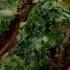 Gordon S Skirt Steak With Chimichurri Sauce Recipe Extended Version Season 1 Ep 8 THE F WORD