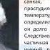 Видеоурок к Международному дню инвалидов