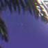 Siyam İmdat Slowed Reverb