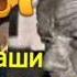 худоё моро бубахш худоё ман чи кор кунам