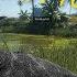 The Isle EVRIMA СТРИМ СБОР ПАХИЧЕЙ