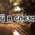 Группа Электротело Алёна