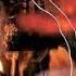 MACHINE HEAD BURN MY EYES 1994