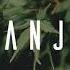Ganja By Henrik Olsson Beats Music