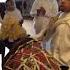Eritrean Orthodox Mezmur Mikael Bekmfu Gebrial Befana