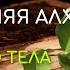 АУДИОКНИГА Глава 13 Рождение светового тела Об единстве Инь и Ян Внутренняя алхимия