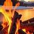 Quiet Winter Morning Campfire By The Lake With Live Nature Sounds